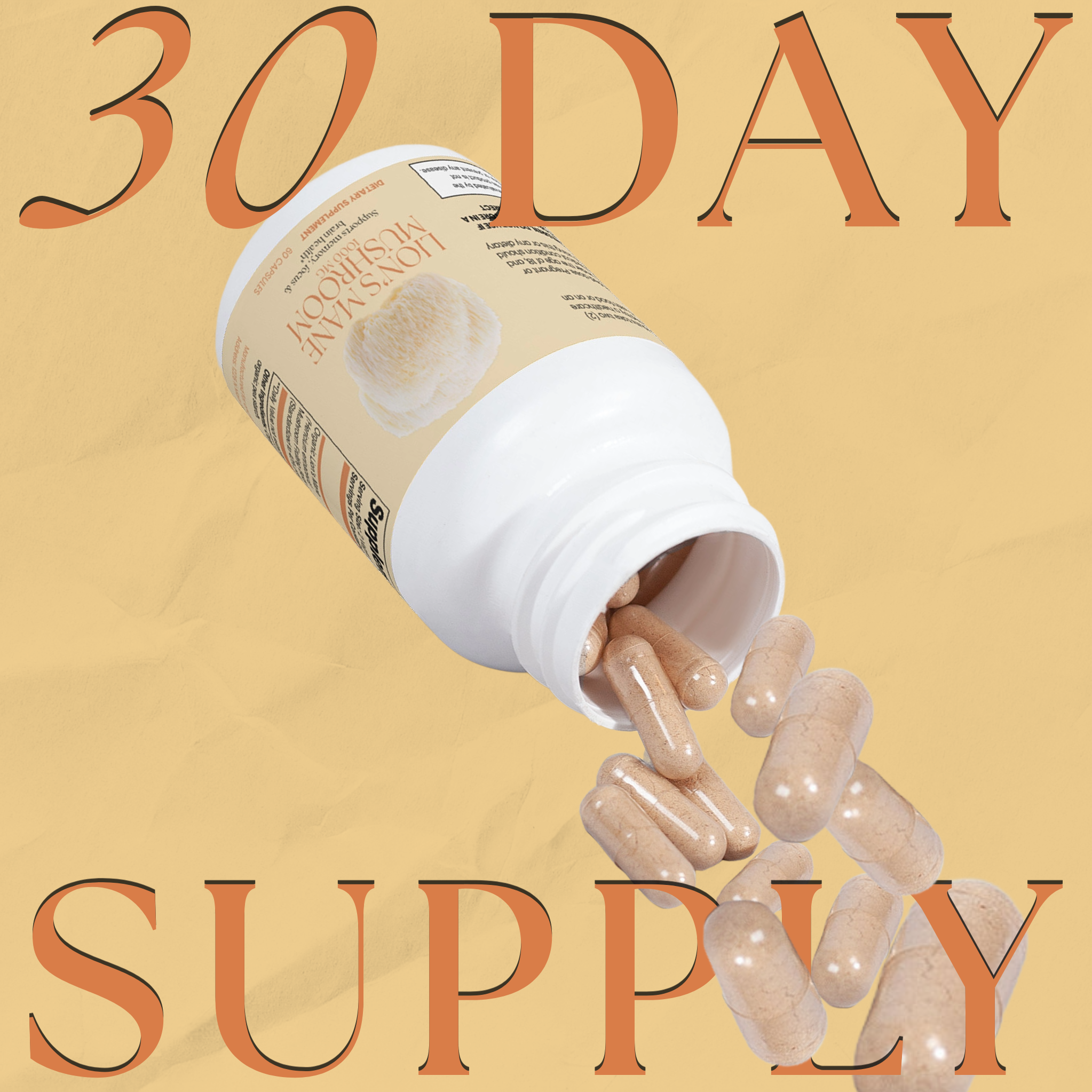 Lion's Mane Mushroom