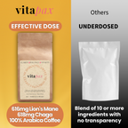 Mushroom Coffee - Lion’s Mane & Chaga - Dark Roast (4oz)