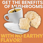 Mushroom Coffee - Lion’s Mane & Chaga - Dark Roast (16 oz)