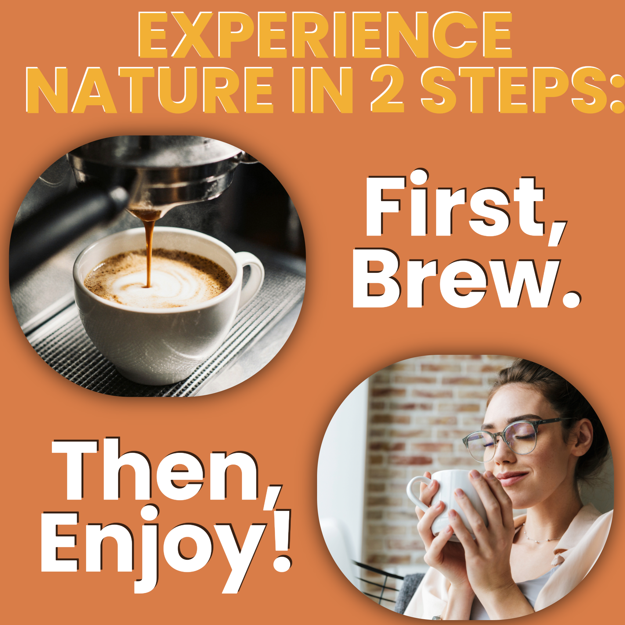 Mushroom Coffee - Lion’s Mane & Chaga - Dark Roast (16 oz)