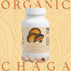 Chaga Mushroom
