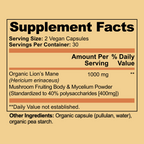 Lion's Mane Mushroom